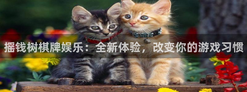 fun88环球视点：摇钱树棋牌娱乐：全新体验，改变你的游戏习惯