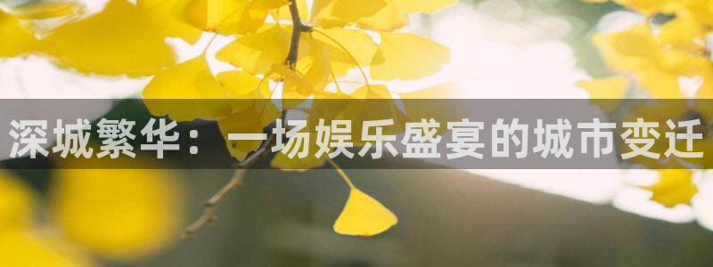 fun88客服：深城繁华：一场娱乐盛宴的城市变迁
